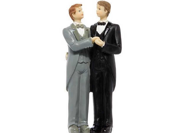 Bruidspaartje man man